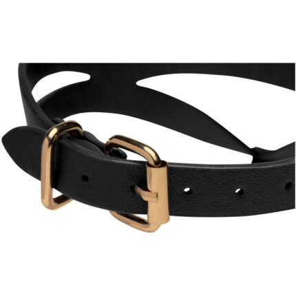 Black and Gold Collar with Leash Kit - Image 4